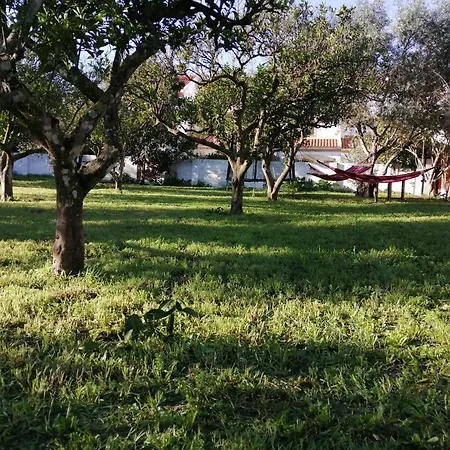 Casa Laranjeiras E Parque Infantil Vakantiehuis *